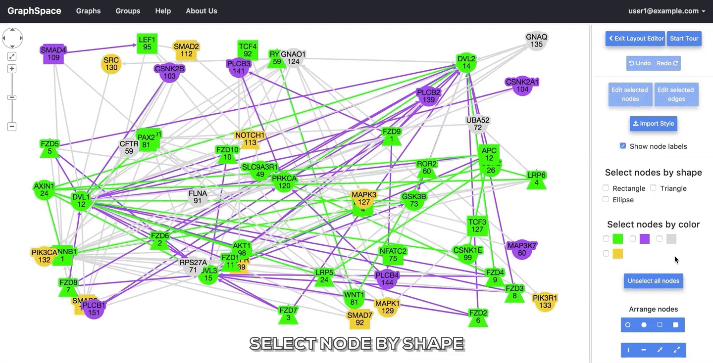 _images/gs-screenshot-user1-wnt-pathway-reconstruction-select-nodes-by-shape-with-caption.gif
